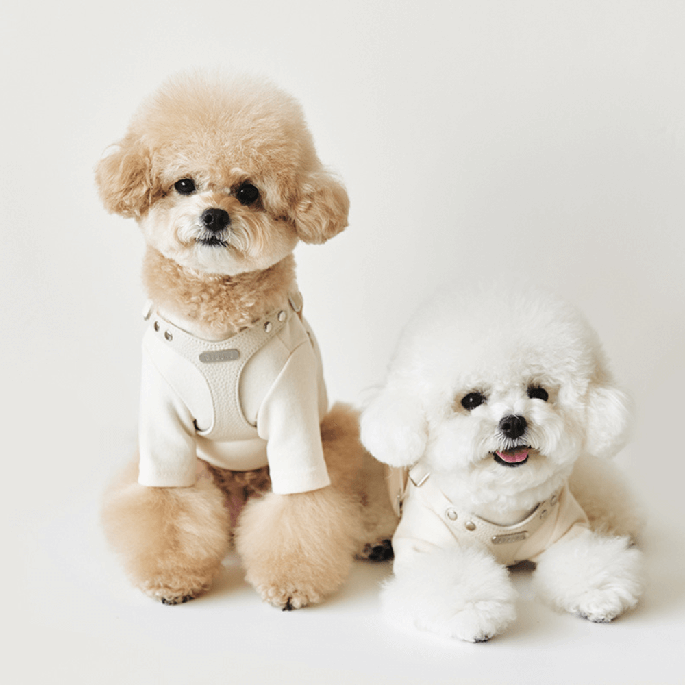 DELIGHT HARNESS バックルver(クリーム)
