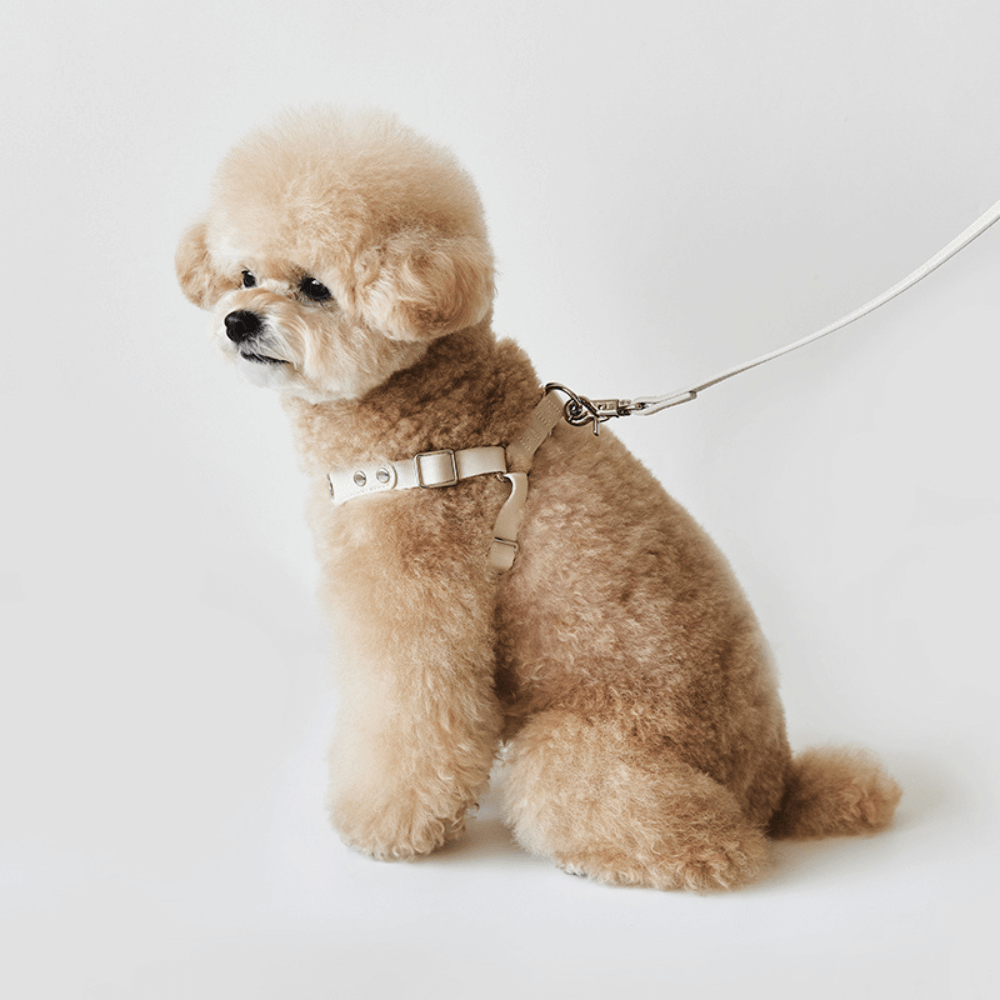 DELIGHT HARNESS バックルver(クリーム)