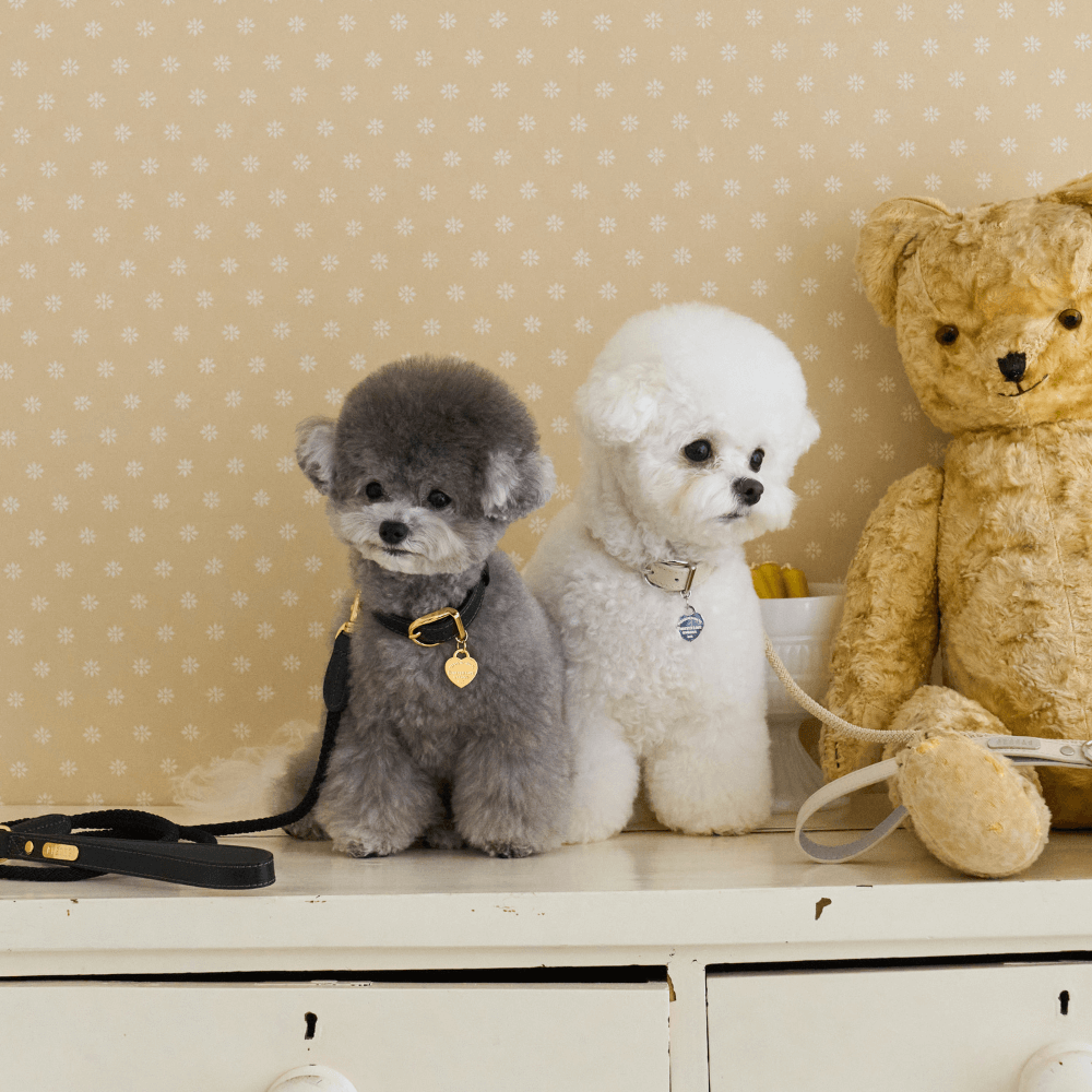 【予約】BLISS ROPE LEASH(Baby Cream)