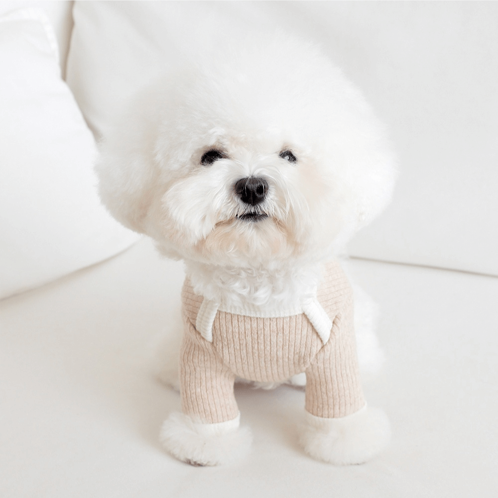 palette wool knit top (oat latte)