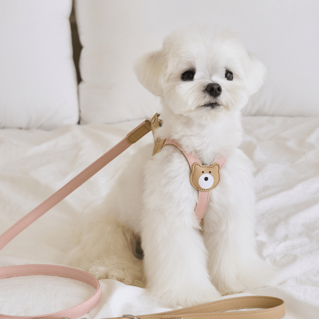 BEAR 150cm LEASH(Indi Pink)