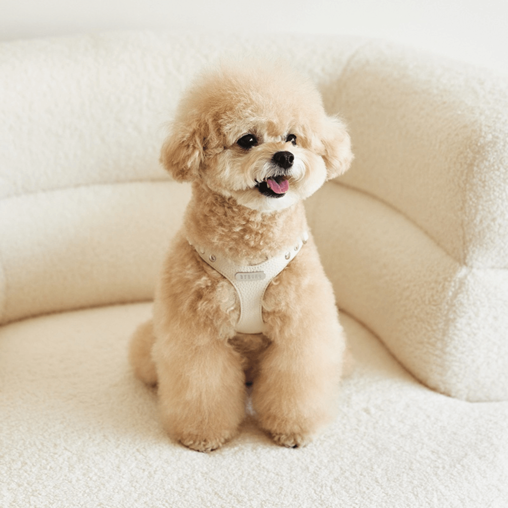 MINIME♡ハーネス&リード 負担が少なくてオシャレな犬用ハーネス / 着脱簡単でシンプルな