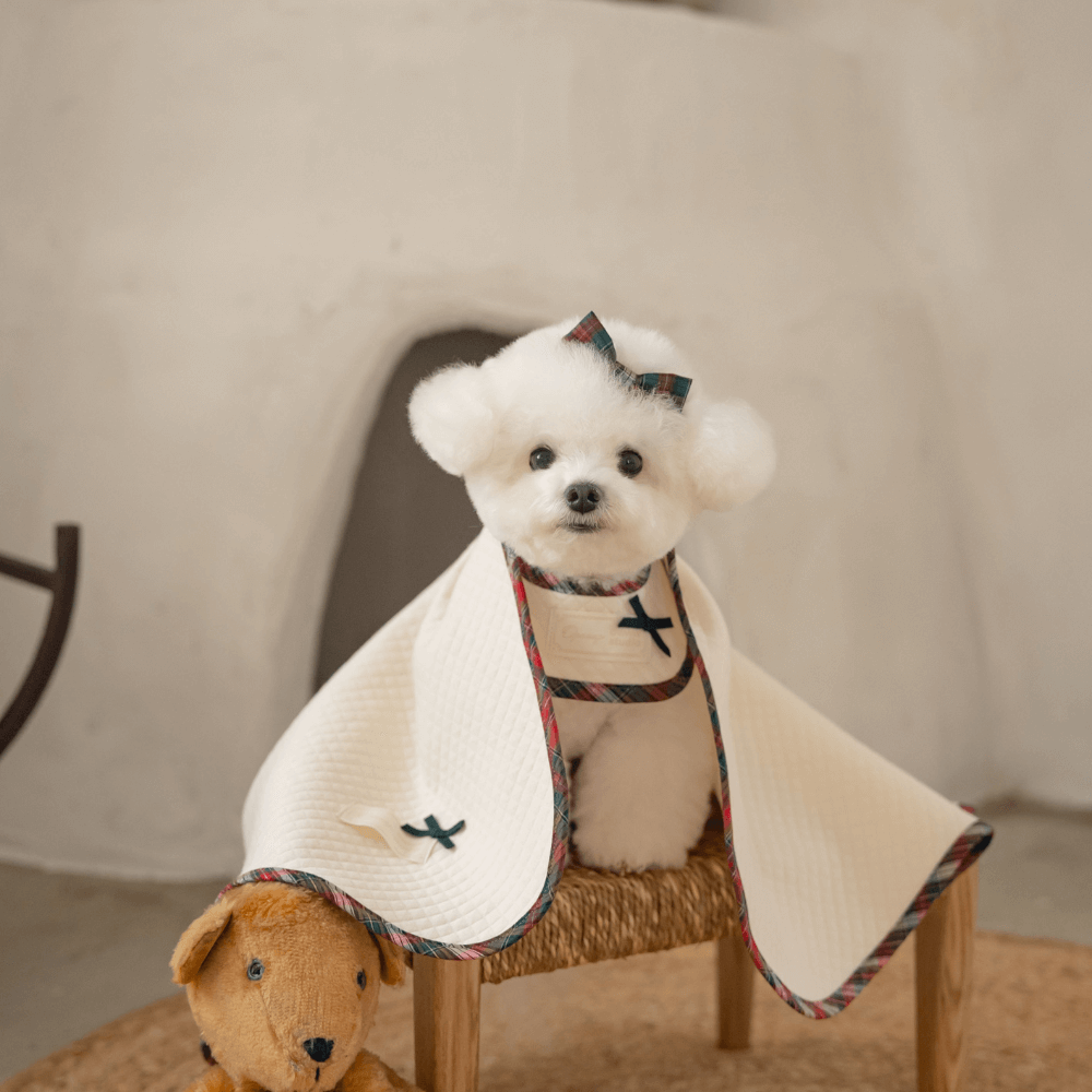 【予約】Organic Quilted Blanket with Check