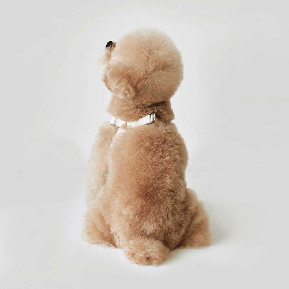 DELIGHT HARNESS バックルver(クリーム)