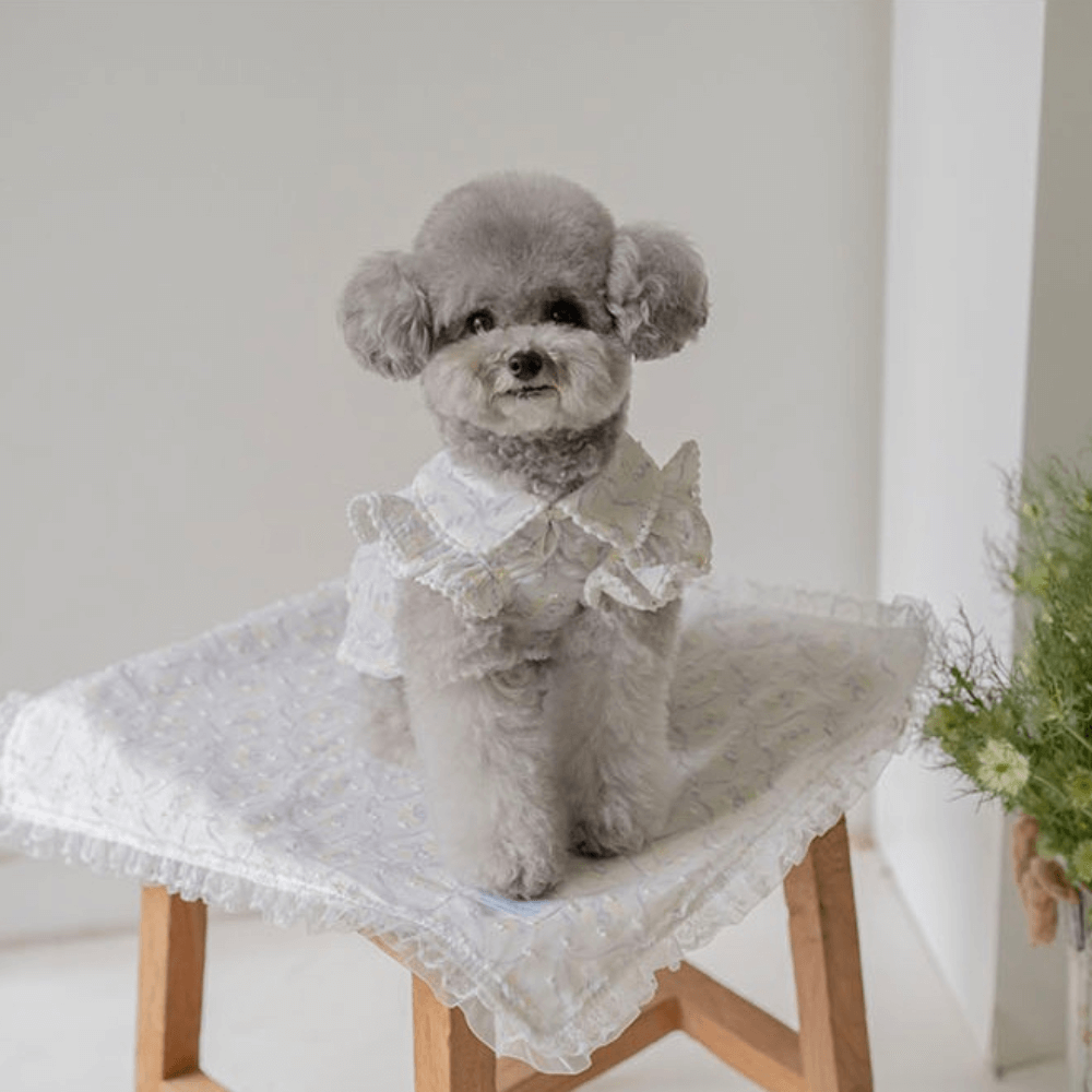 Pom Pom Lace Dress(Purple)