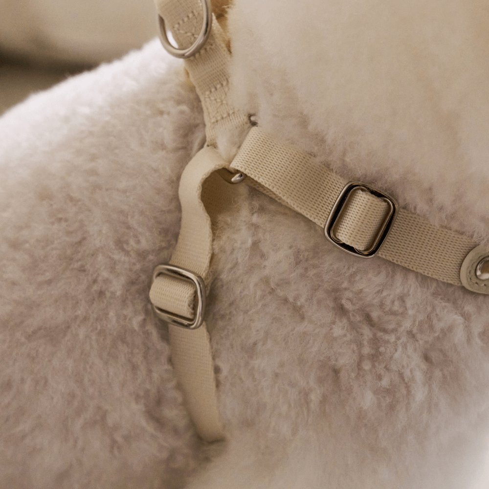 DELIGHT HARNESS バックルver(クリーム)
