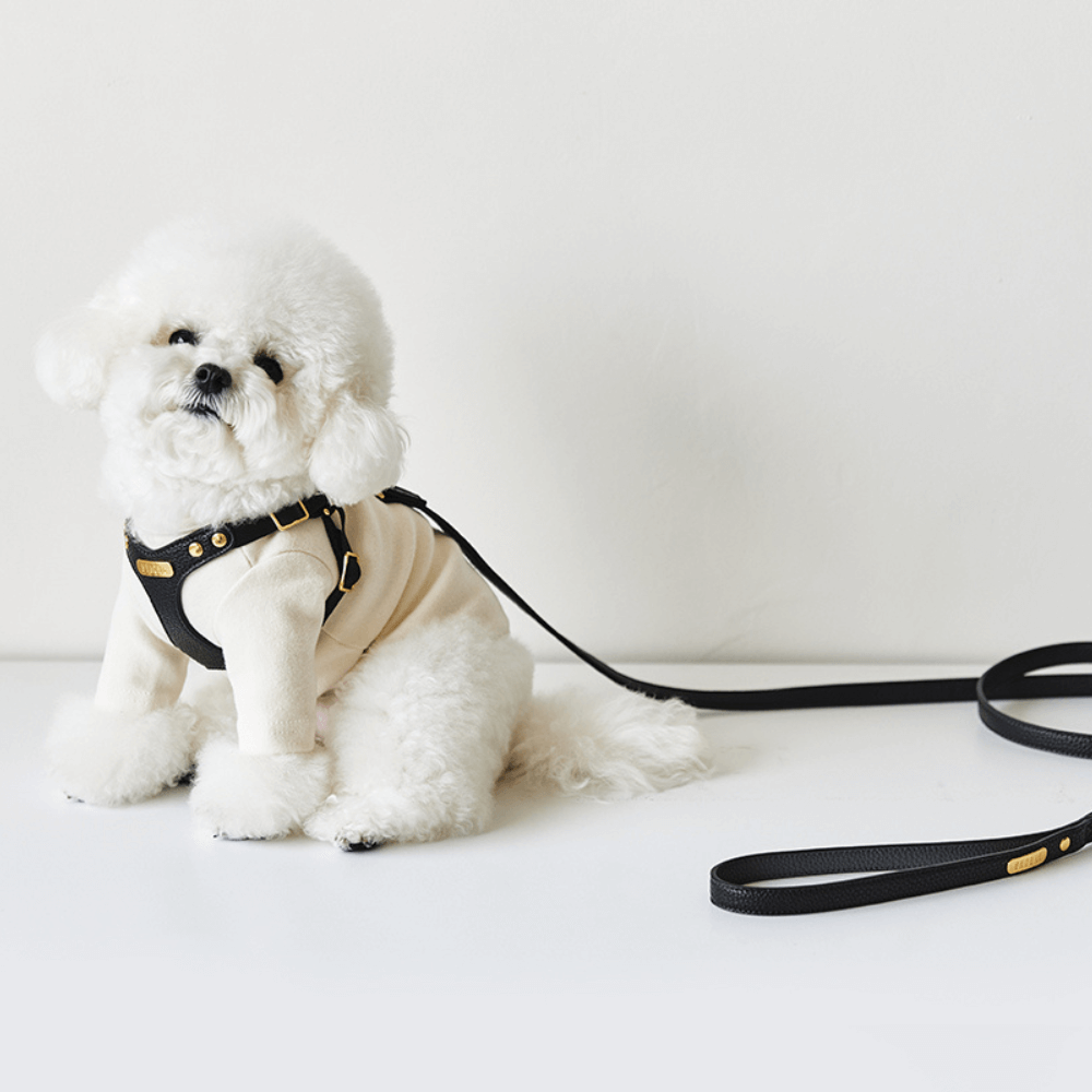 DELIGHT HARNESS バックルver(ブラック)