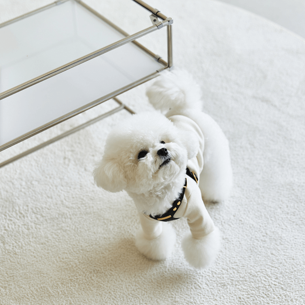 DELIGHT HARNESS バックルver(ブラック)