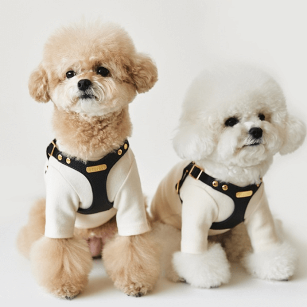 DELIGHT HARNESS バックルver(ブラック)