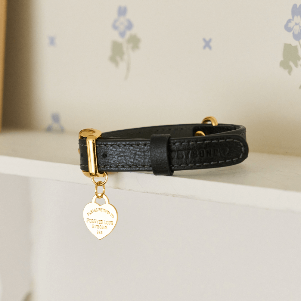 【予約】BLISS LEATHER COLLAR(Black)