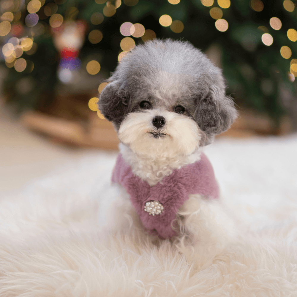 Crystal Fur Vest Purple(日本限定発売)