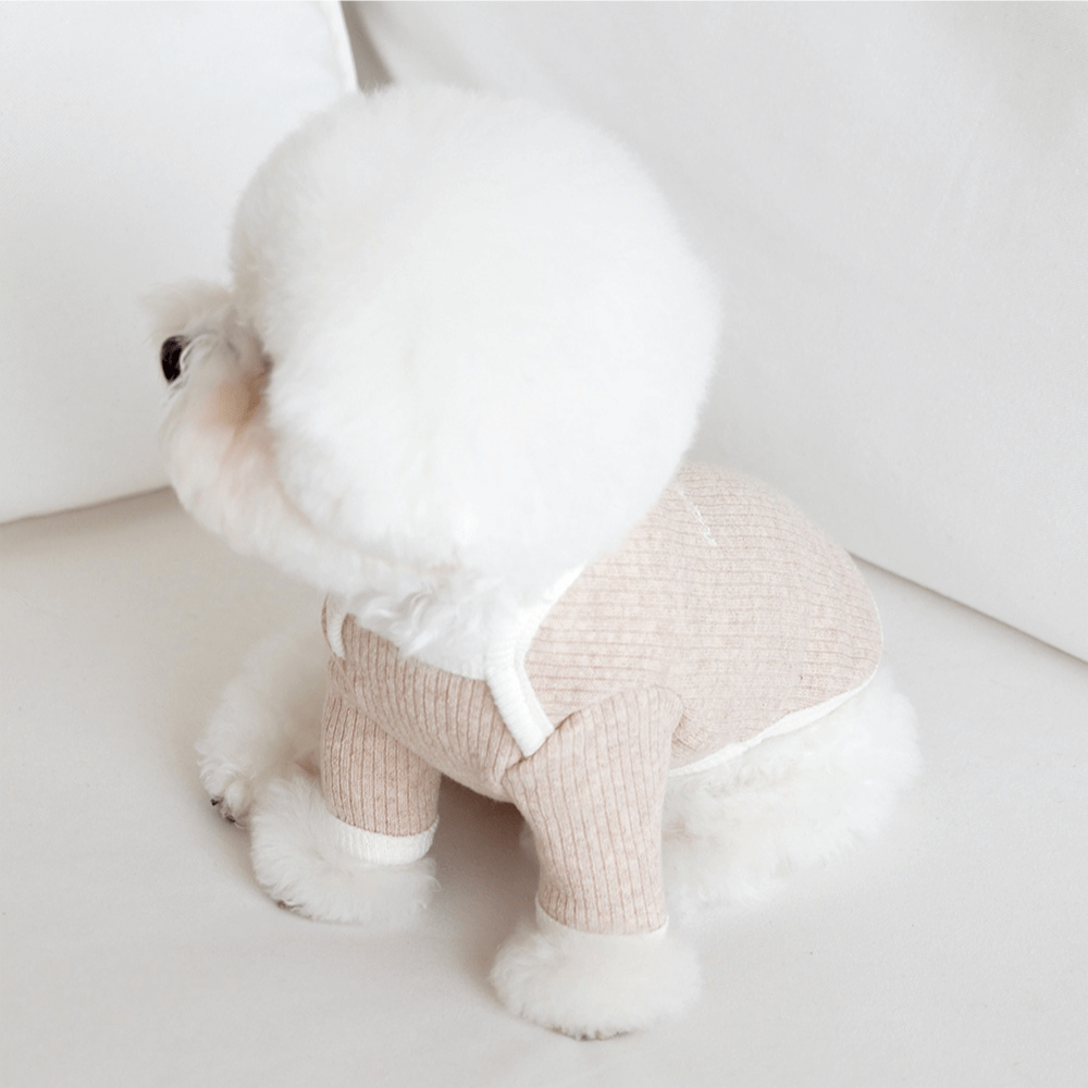 palette wool knit top (oat latte)