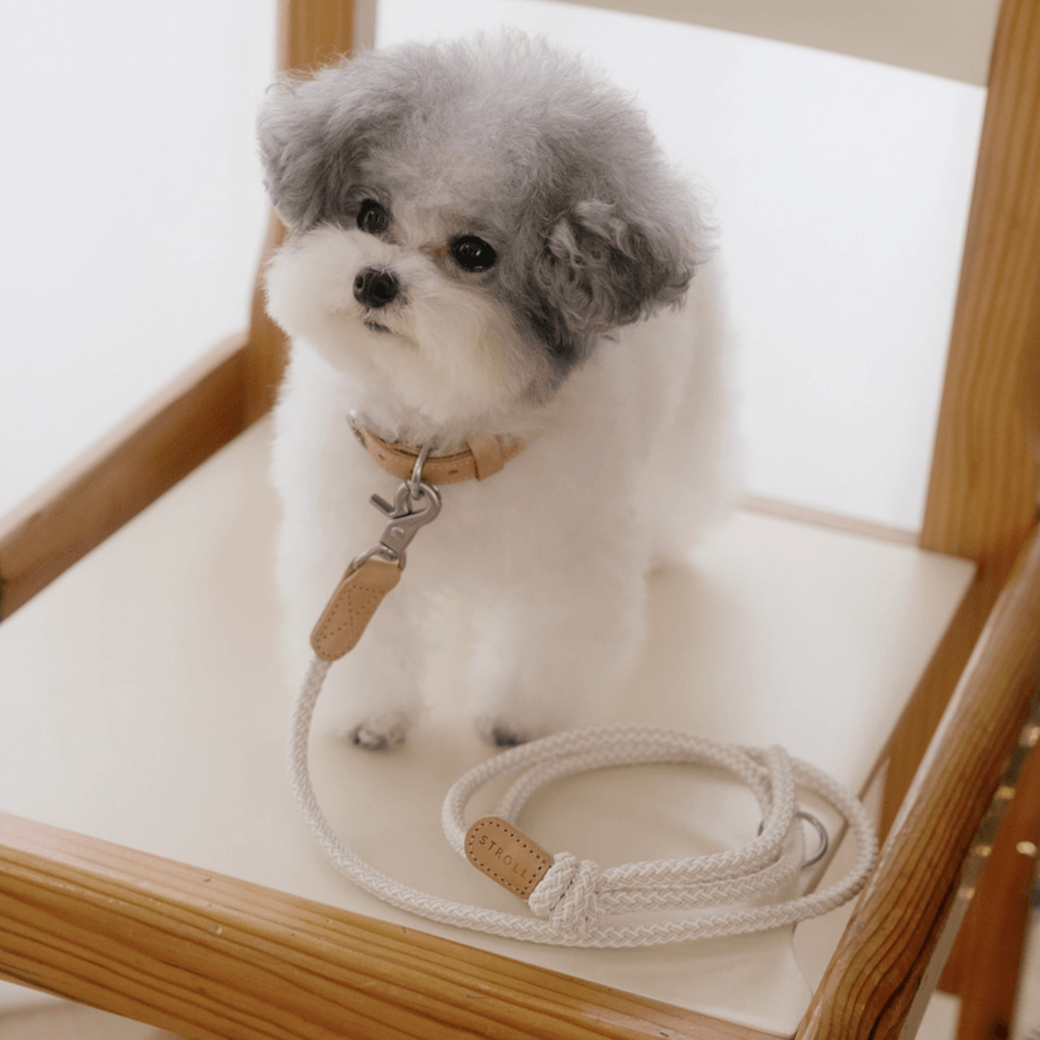 Rope Leash (Oatmeal)