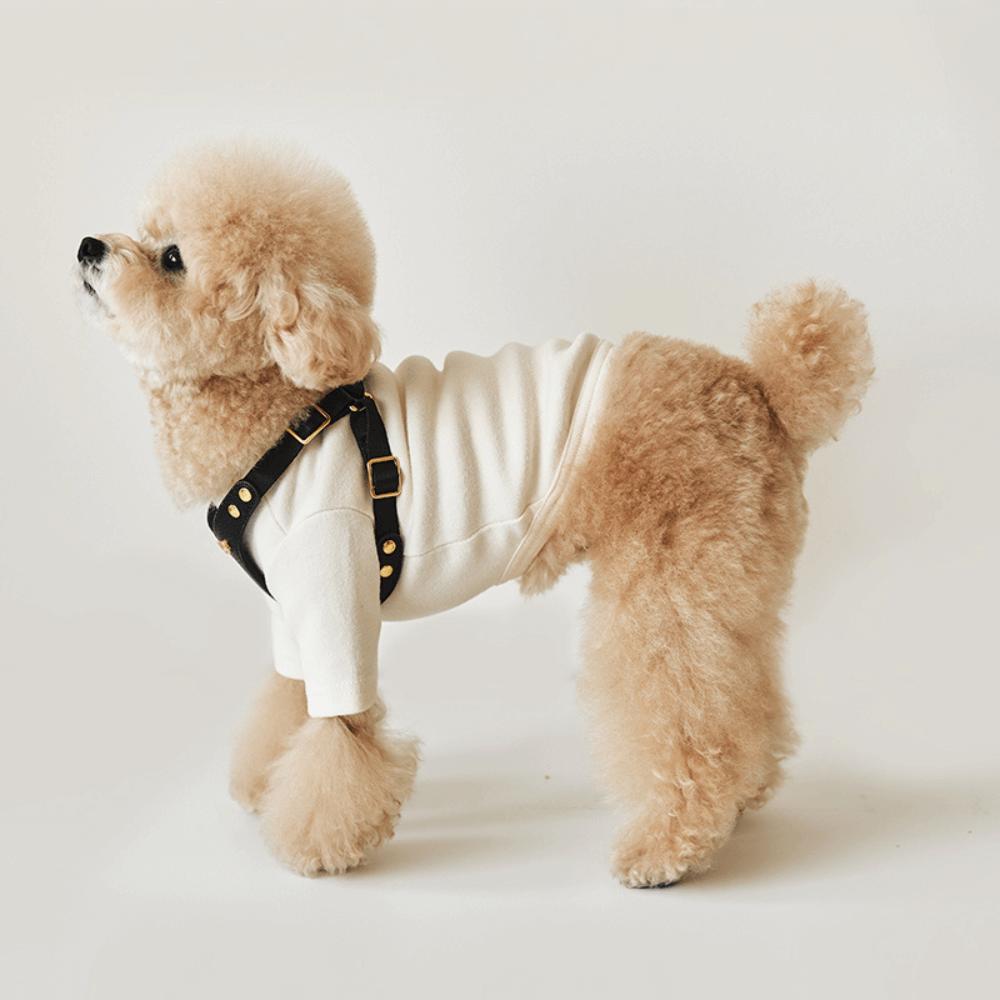 DELIGHT HARNESS バックルver(ブラック)