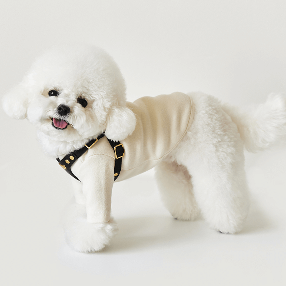 DELIGHT HARNESS バックルver(ブラック)