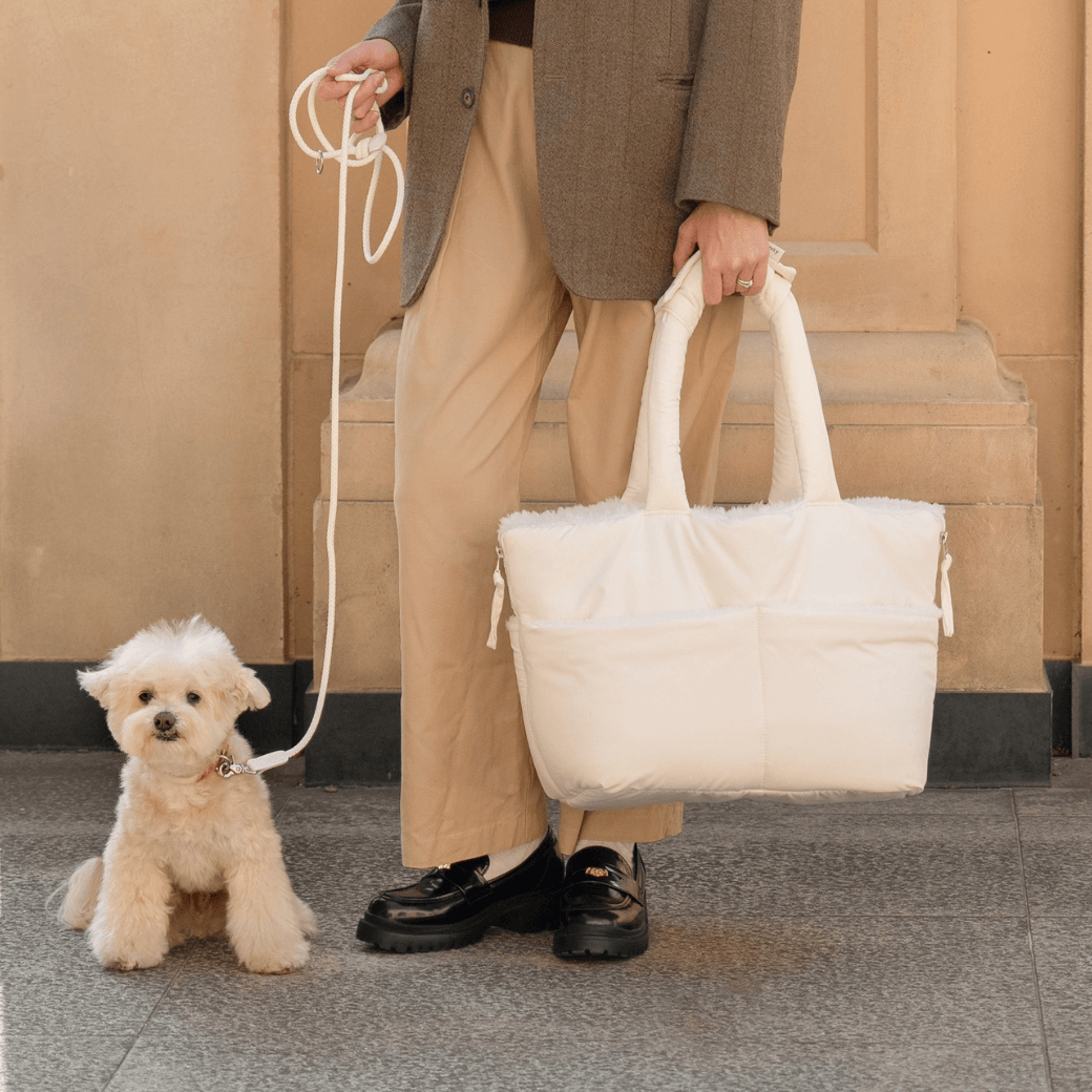 wide bag - teddy white(APERTY 24AW)