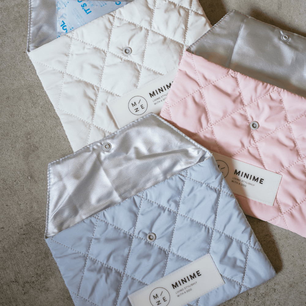 ICY ICE POUCH 保冷剤付(3COLOR)