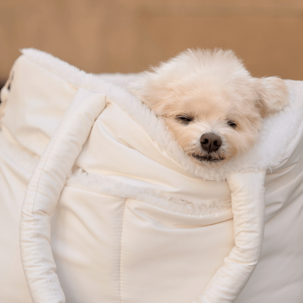 wide bag - teddy white(APERTY 24AW)