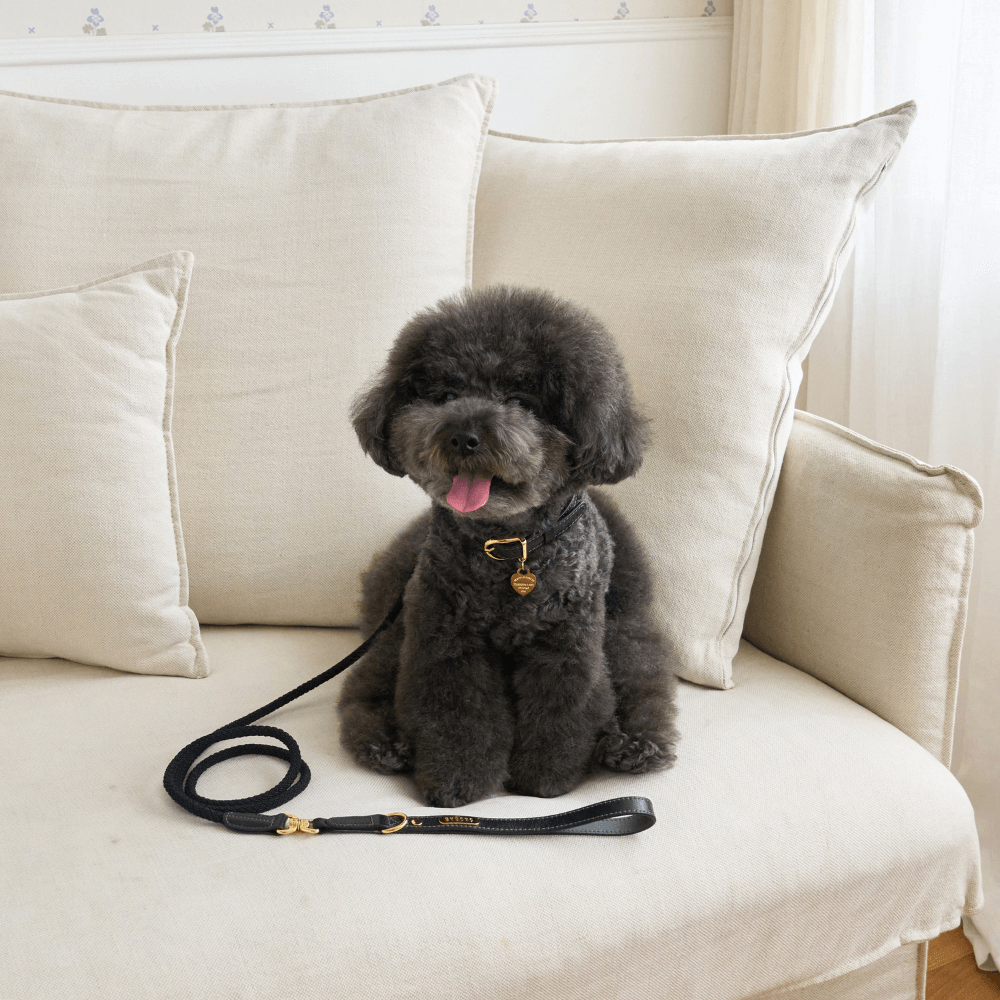 【予約】BLISS LEATHER COLLAR(Black)