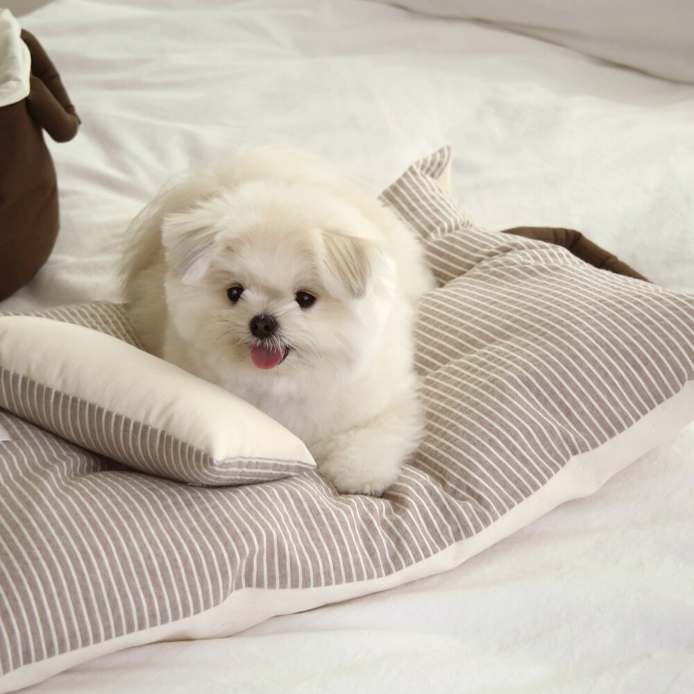 Mini Square Pillow(cocoa)