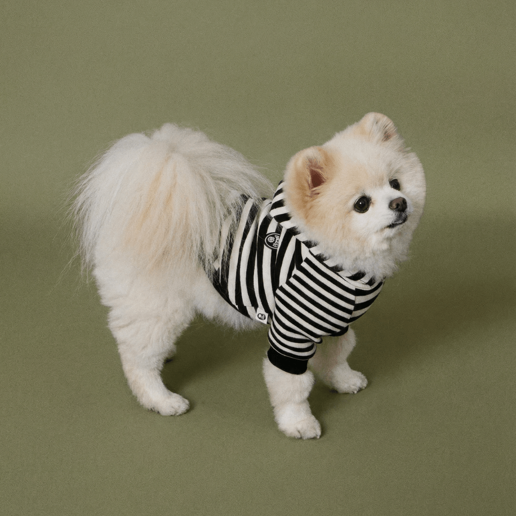 SCHOOL STRIPED HOODIE