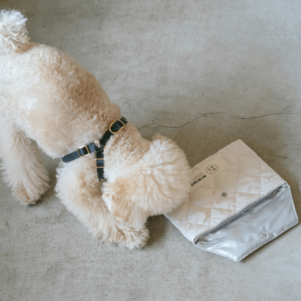 ICY ICE POUCH 保冷剤付(3COLOR)