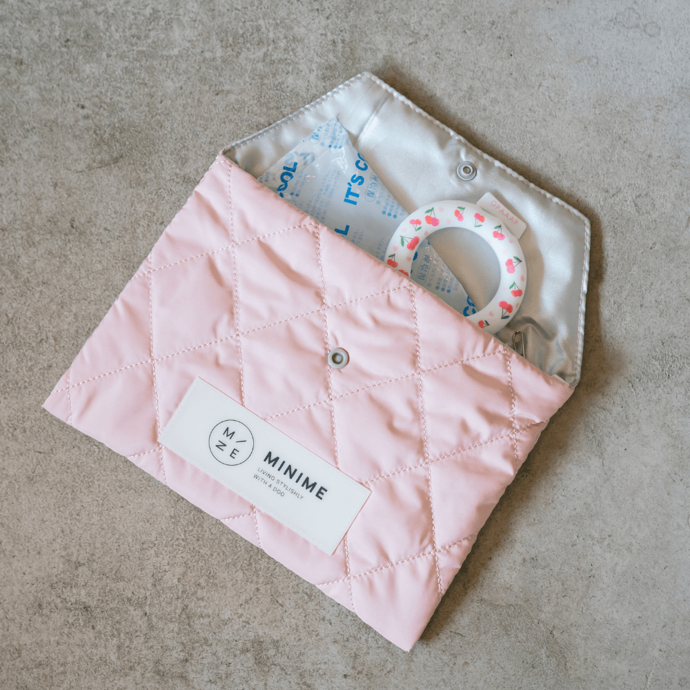 ICY ICE POUCH 保冷剤付(3COLOR)