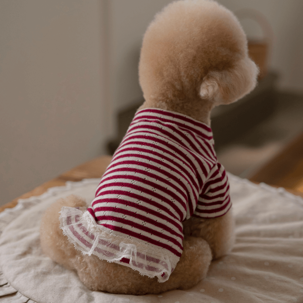 【9/1〜配送】Maison Stripe (Dusty Ruby)