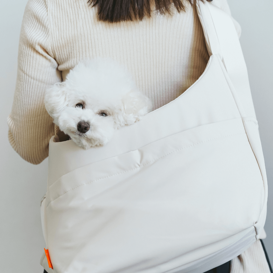 CROSS CARRY BAG(2COLOR)