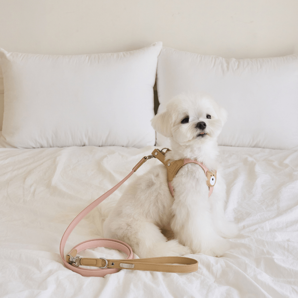 BEAR 150cm LEASH(Indi Pink)