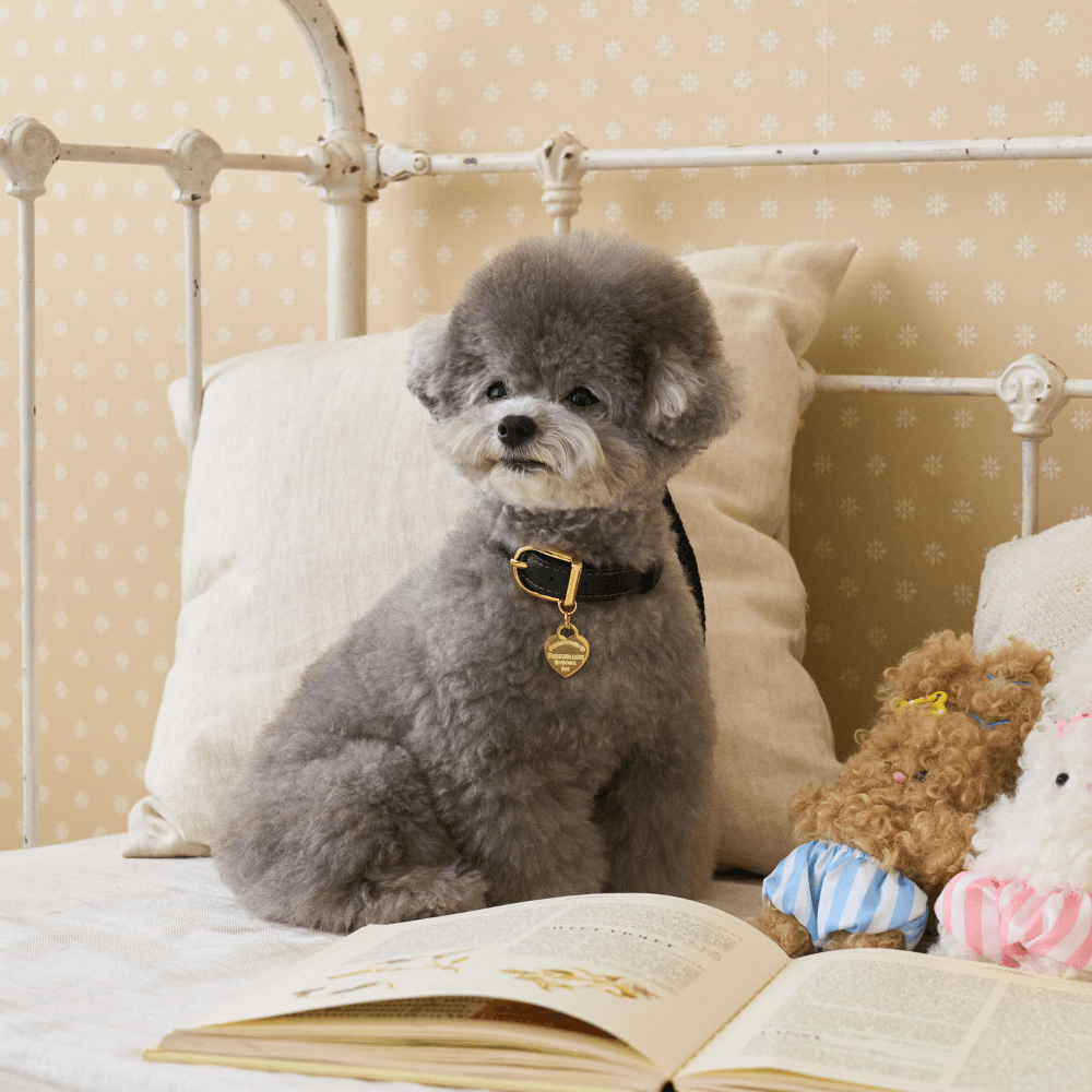 【予約】BLISS LEATHER COLLAR(Black)