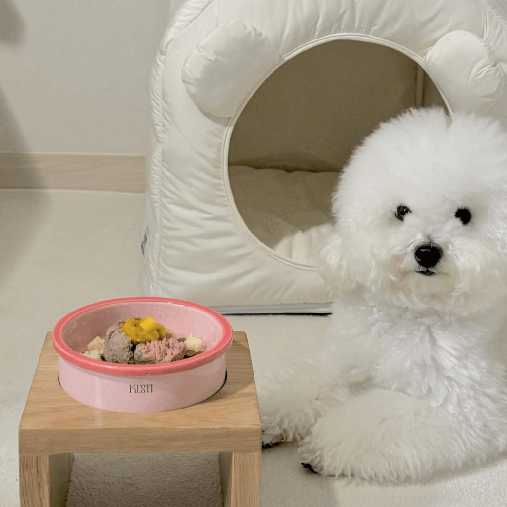 Line Bowl S (5color)