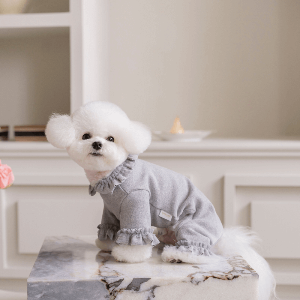 Plie Tu-Tu All in one(Gray)