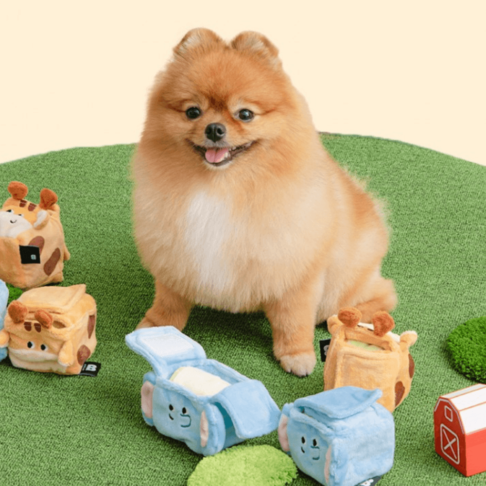 スクエアポケットノーズワークトイ