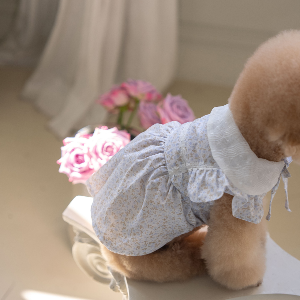 New Greenery Dress (Blue)