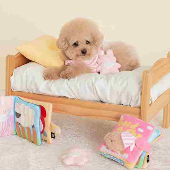 GOOD NIGHTノーズワークTOY