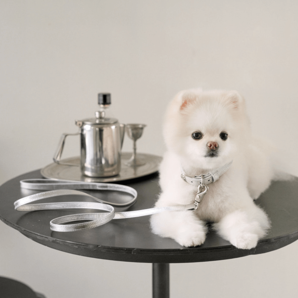 Lumiere Leash (Silver)