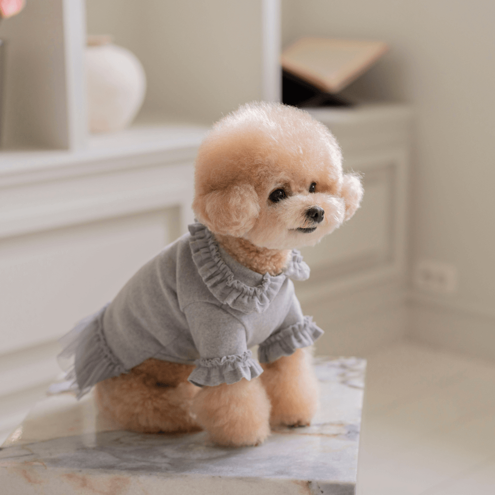 Plie Tu-Tu T-shirt(Gray)