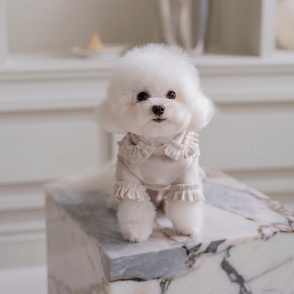 Plie Tu-Tu T-shirt(Beige)