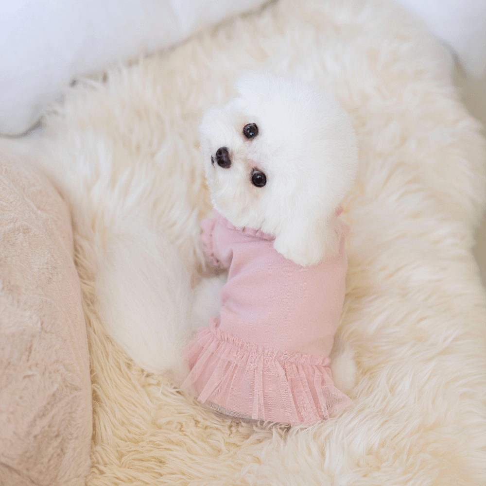 Plie Tu-Tu T-shirt(Pink)