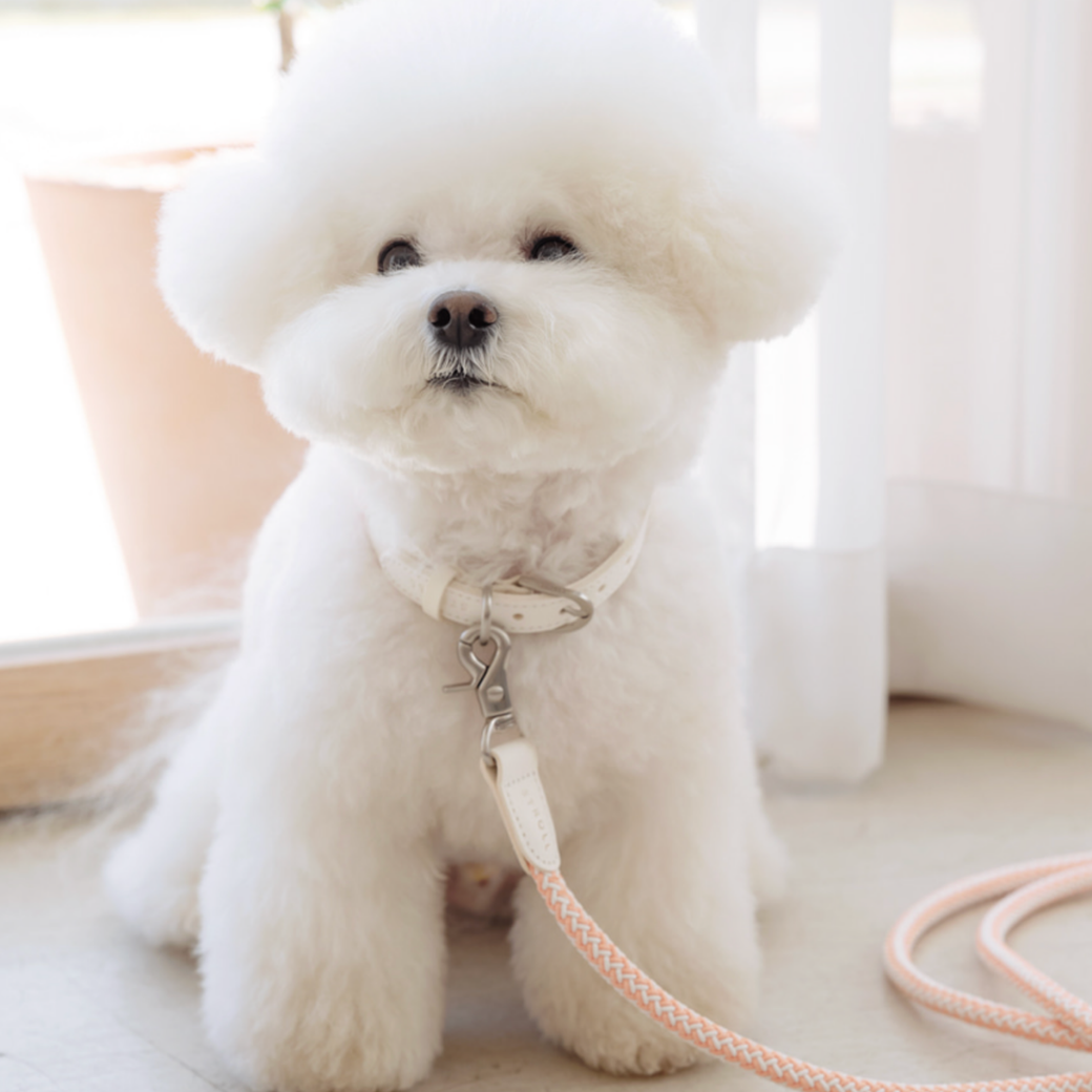 Rope Leash (Coral)