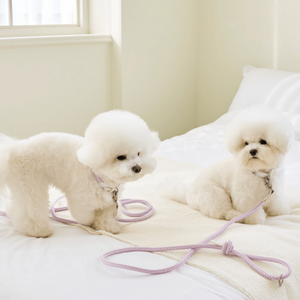 Stroll Rope Collar & Leash New Lilac