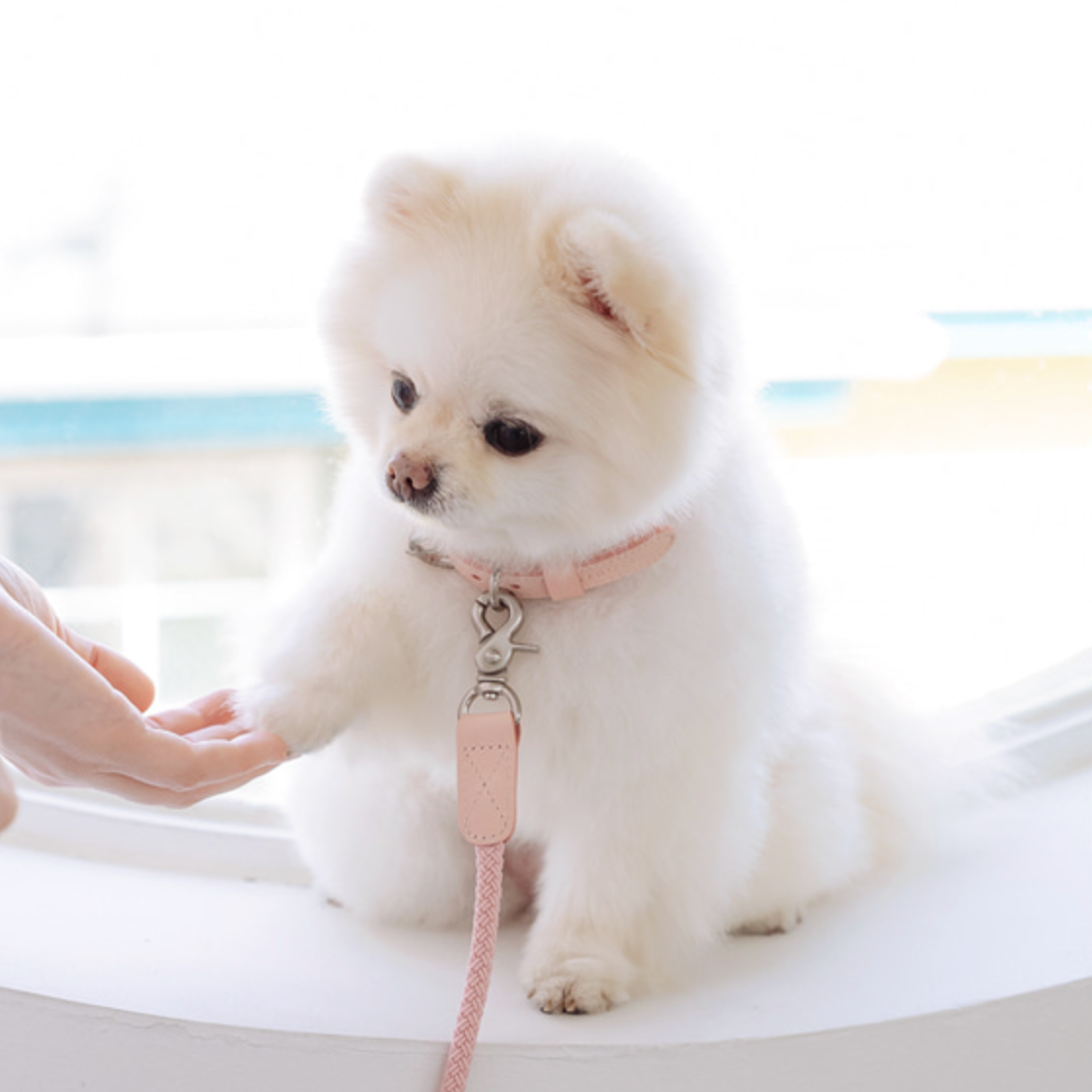 Rope Collar(ピンク)