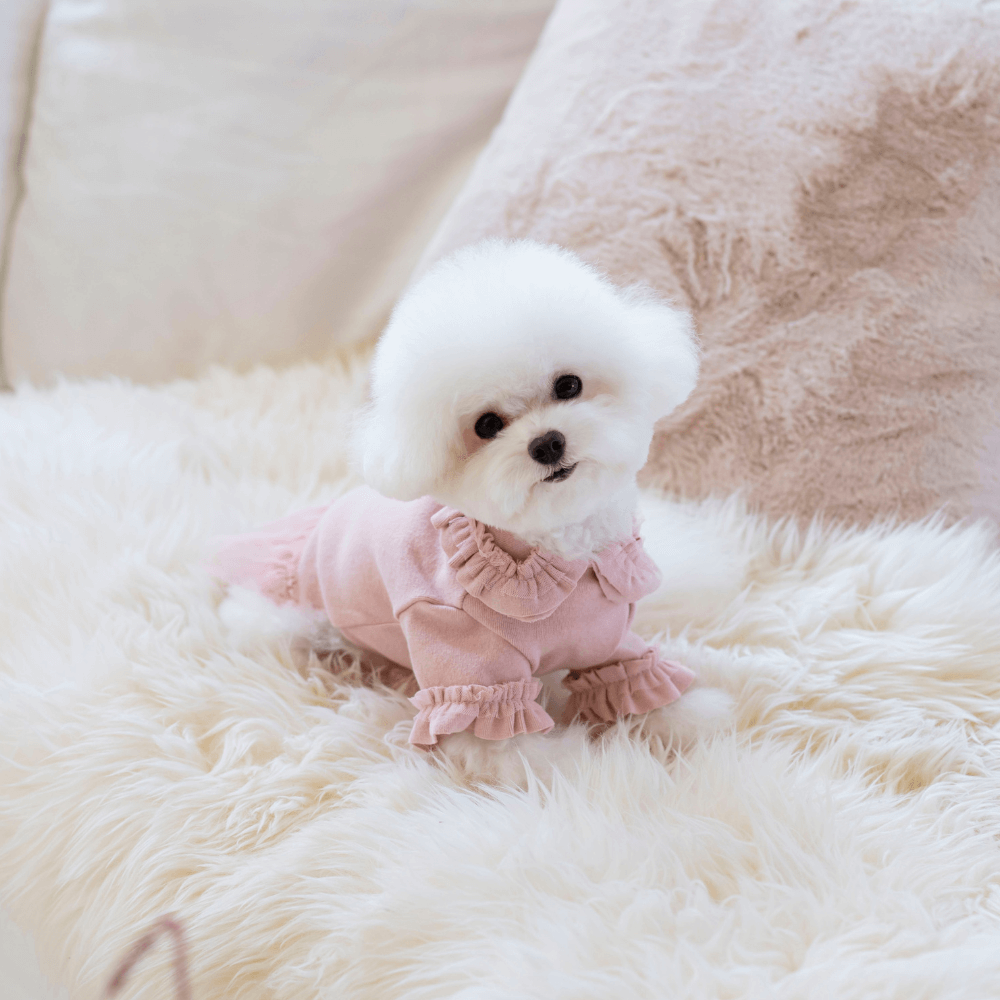 Plie Tu-Tu T-shirt(Pink)