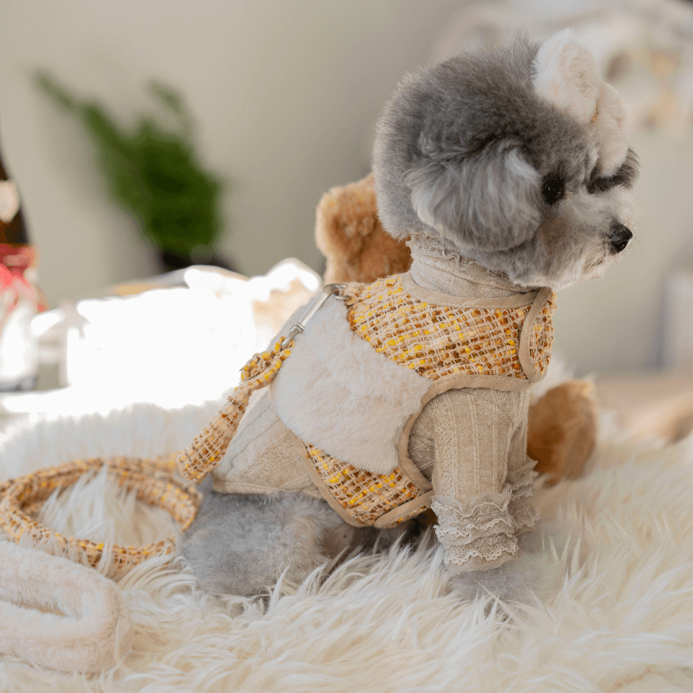 COCO Holiday Tweed Leash