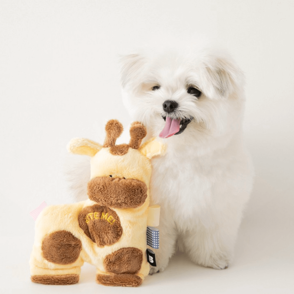 リトルフレンズTOY