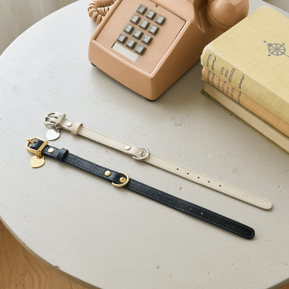 【予約】BLISS LEATHER COLLAR(Black)