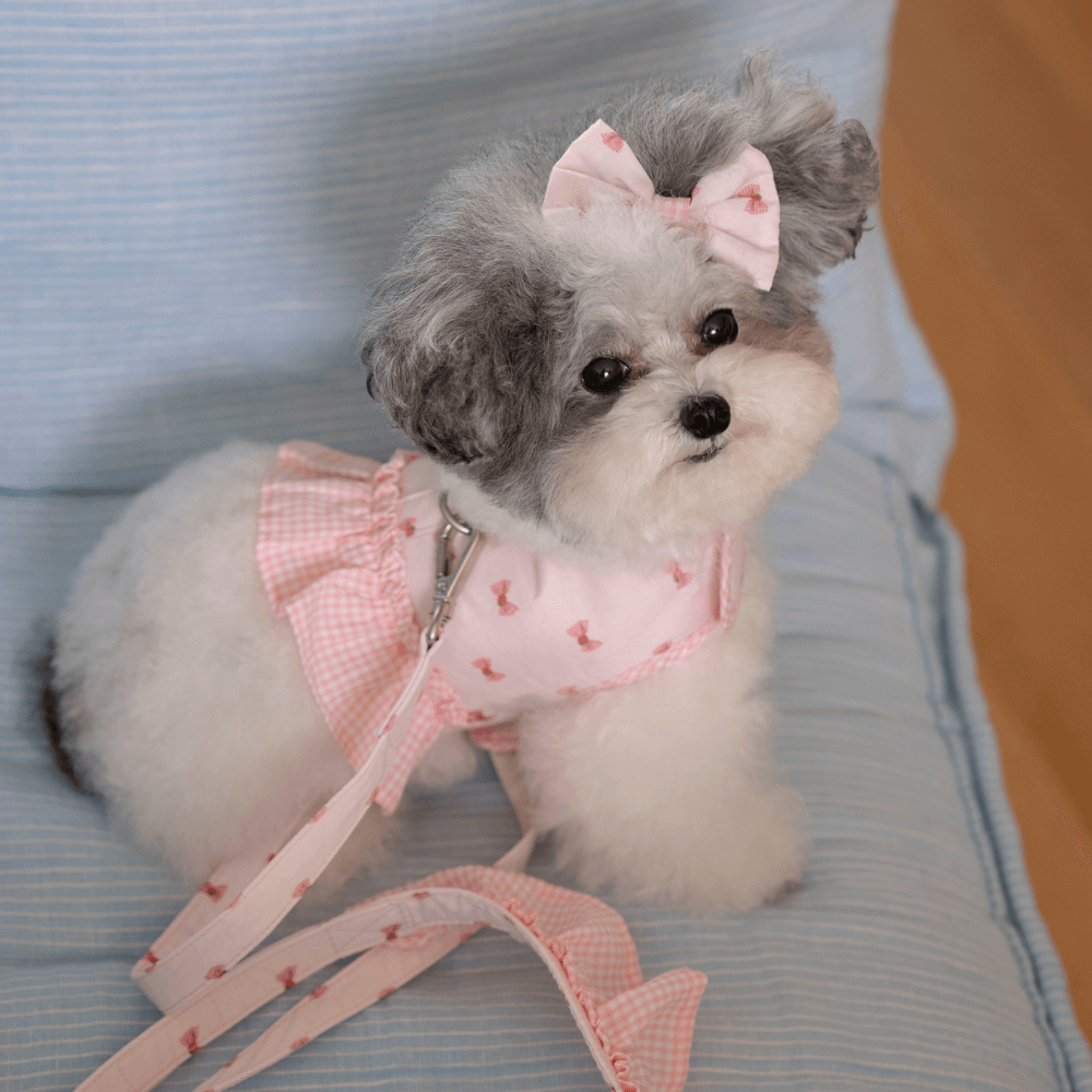 XOXO Candy Leash(Pink)