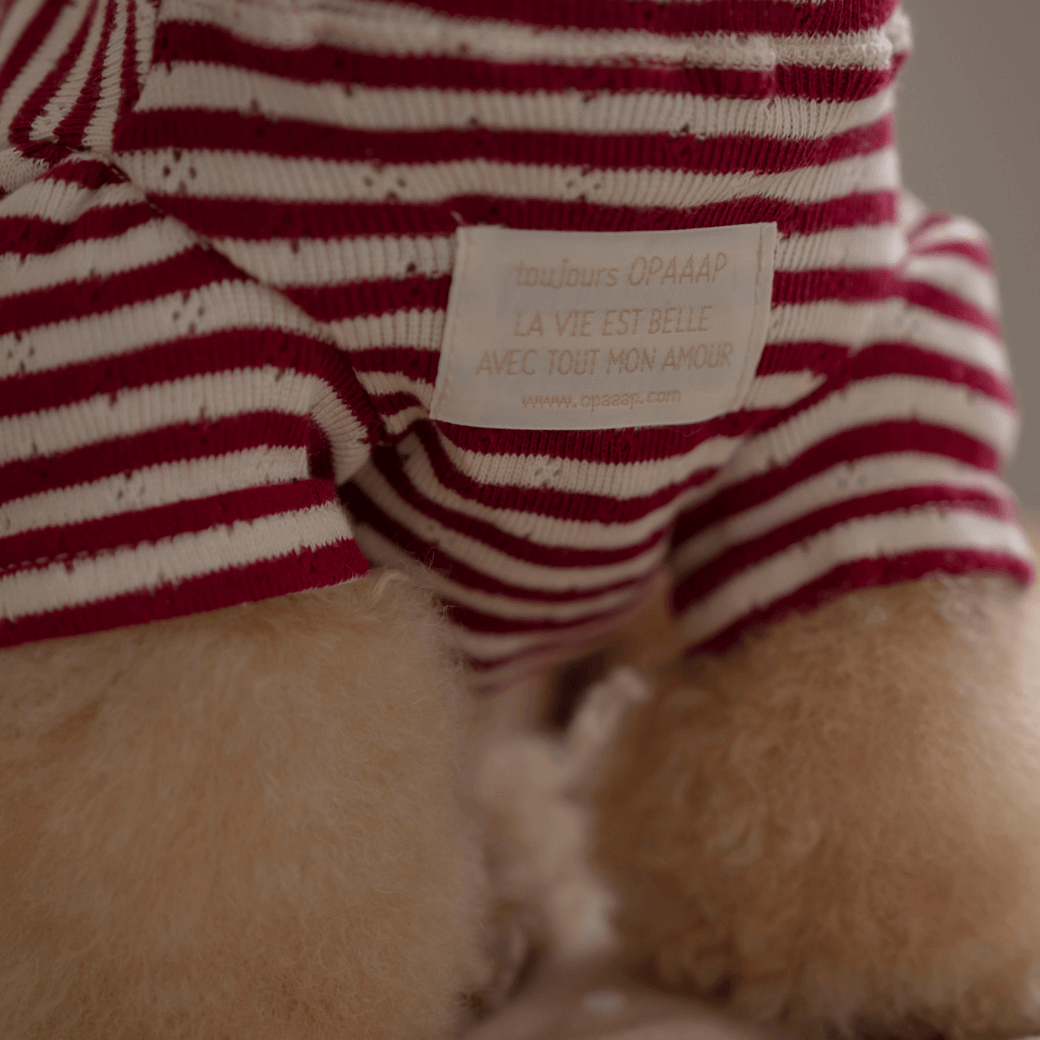 【9/1〜配送】Maison Stripe (Dusty Ruby)