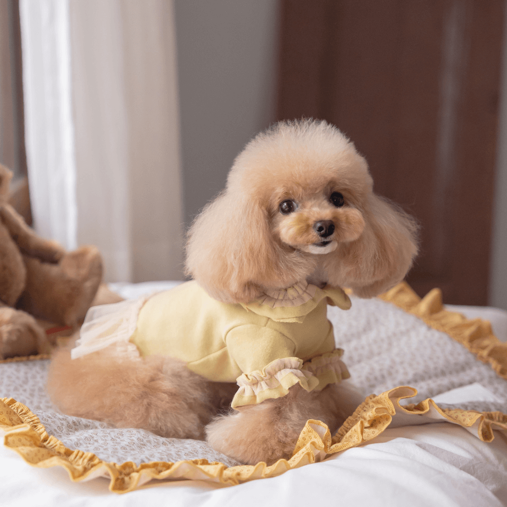 Plie Tu-Tu T-shirt(Mustard)